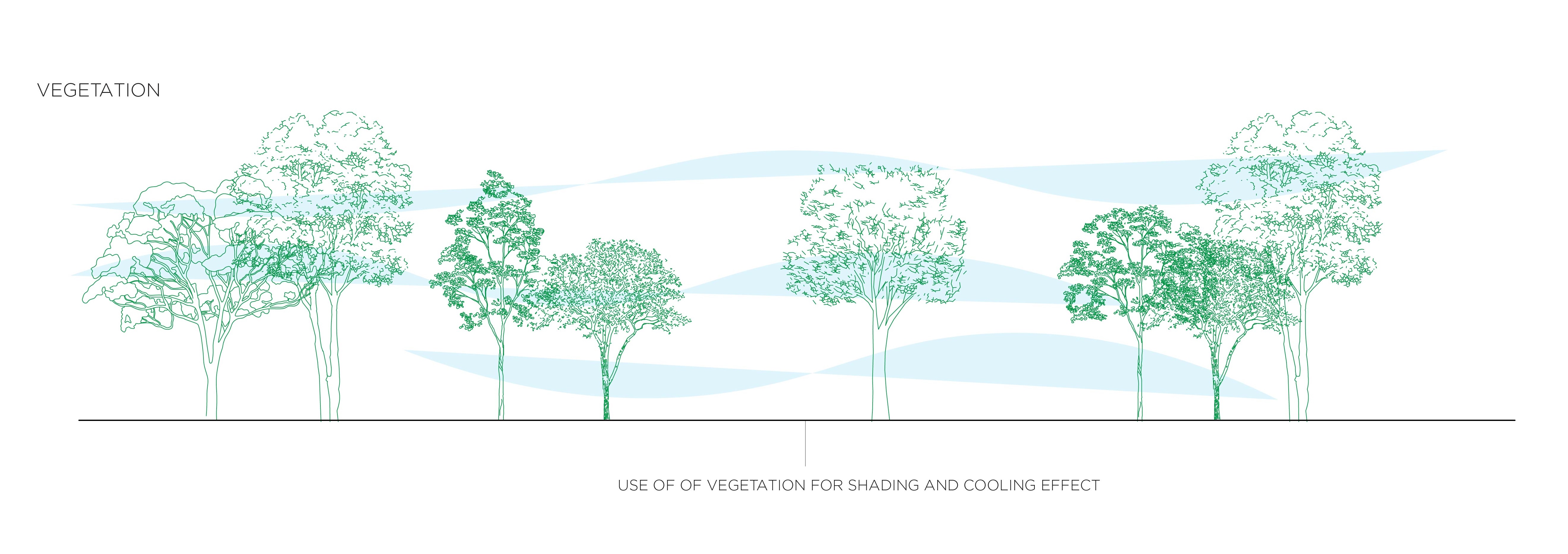 Diagram - Vegetation